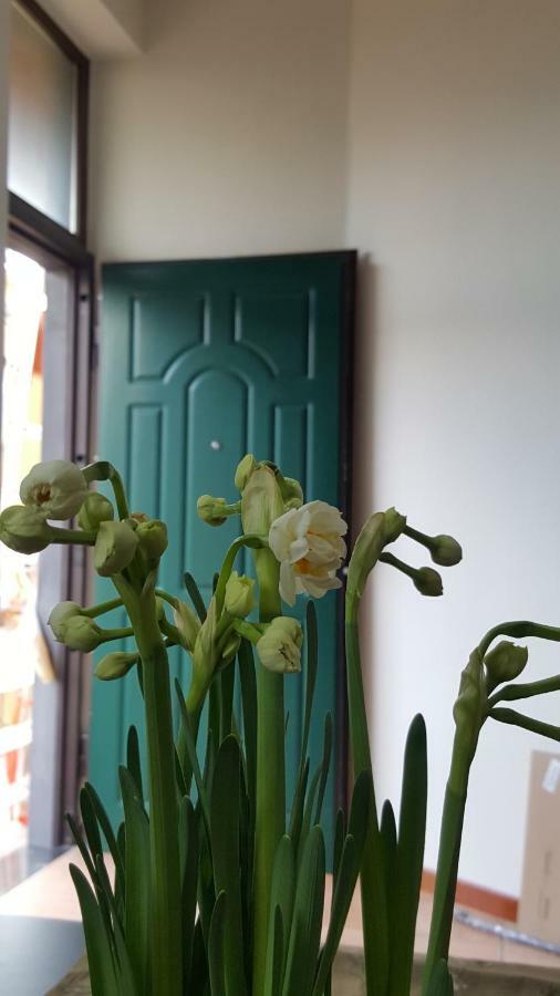 Appartamento Il Giardino sul Corso Scafati Esterno foto