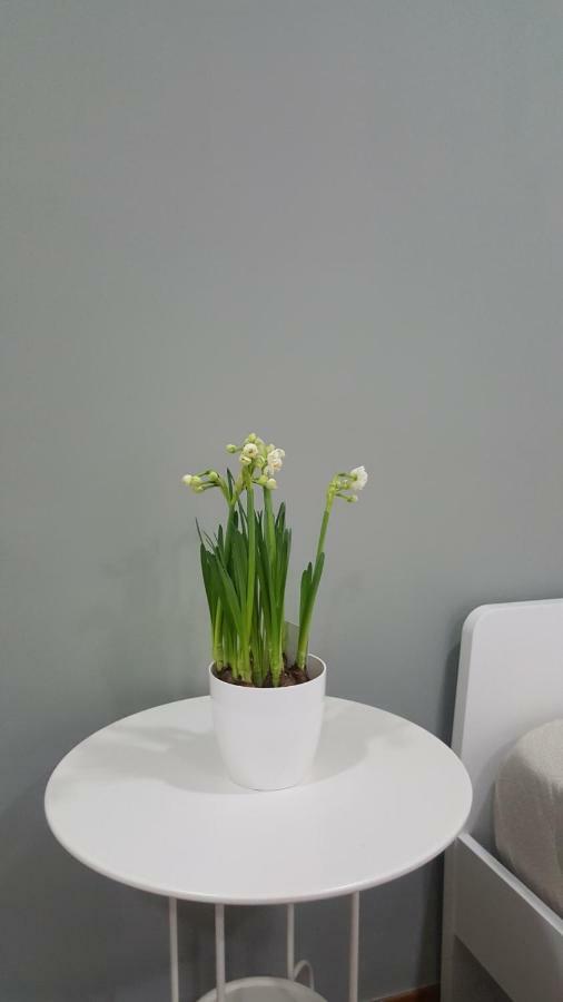 Appartamento Il Giardino sul Corso Scafati Esterno foto